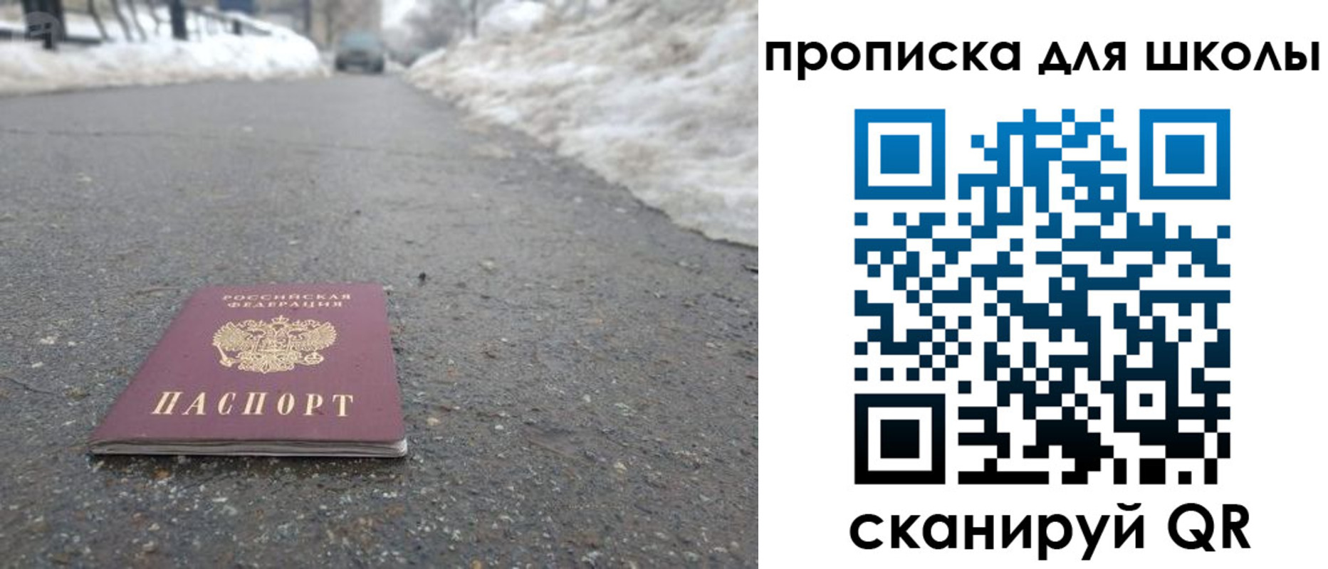 прописка для школы в Ярославской области
